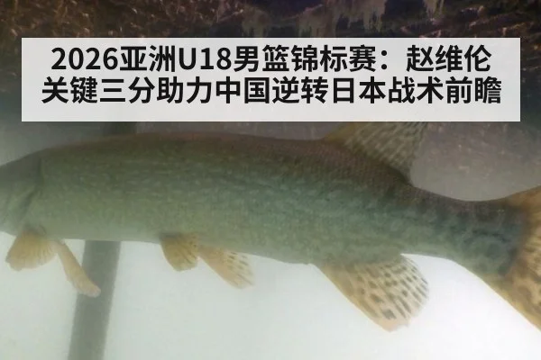 2026亚洲U18男篮锦标赛：赵维伦关键三分助力中国逆转日本战术前瞻