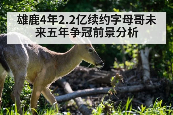 雄鹿4年2.2亿续约字母哥未来五年争冠前景分析