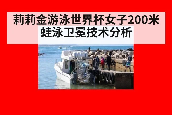 莉莉金游泳世界杯女子200米蛙泳卫冕技术分析
